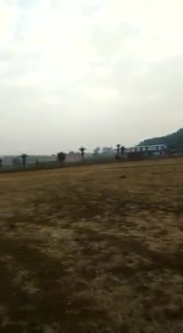 Hariom Practicing in The Morning.. 🇮🇳

#IndoBoomerangAssociation
#Mowgli #JungleBook #JungleBoy #MowgliLand 🇮🇳