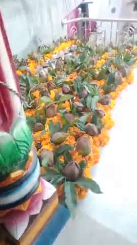 शाहपुरा: अरनिया घोड़ा ग्राम मे भव्य कलश यात्रा निकाल कर भागवत कथा का शुभारम्भ किया गया #कलशयात्रा
