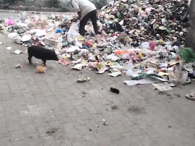 बरेली: #barlliy #modi147 #varal #abpnews #aajtaknewsbharatlivetv