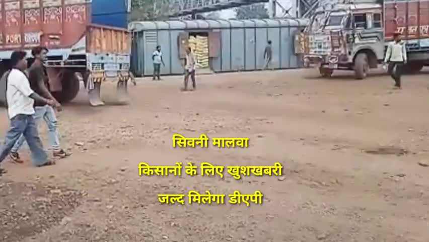 सिवनी मालवा में जल्द वितरित होगा डीएपी  #सिवनीमालवा #होशंगाबाद