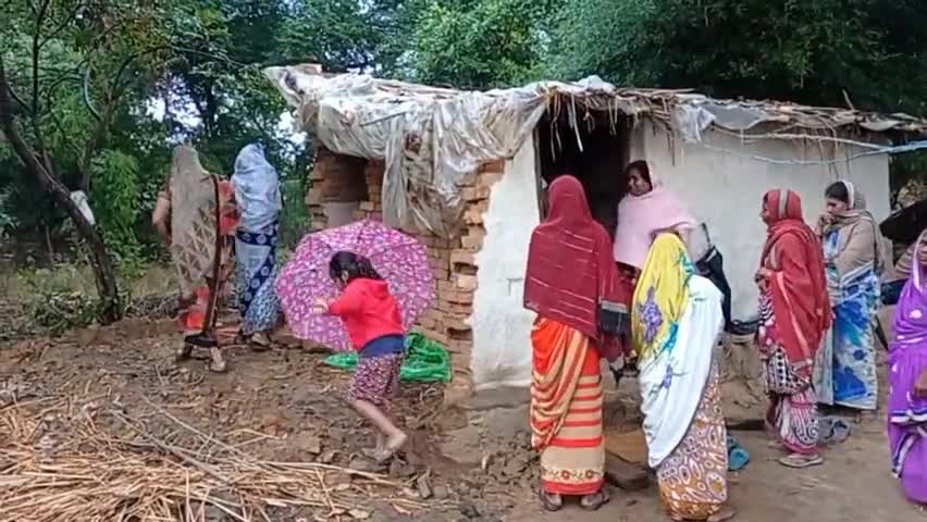अकलतरा: ग्राम हरदी महामाया वार्ड 10 11 12 से बेजा कब्जा हटाया गया #hardi #mahamayahardi #distrit_collector #janjgir