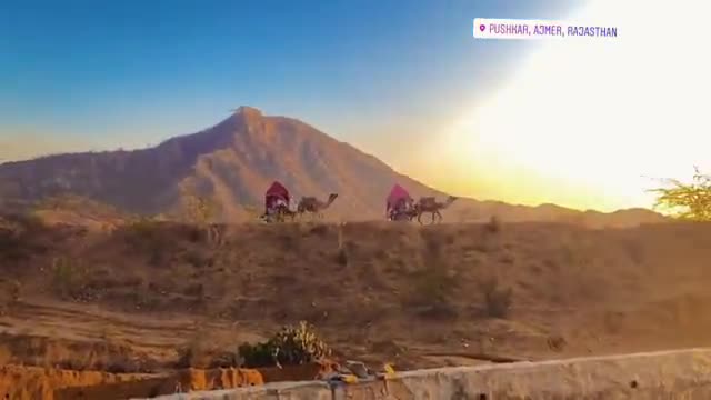पुष्कर: #pushkarfair #pushkarfair #ajmer #rajasthantez