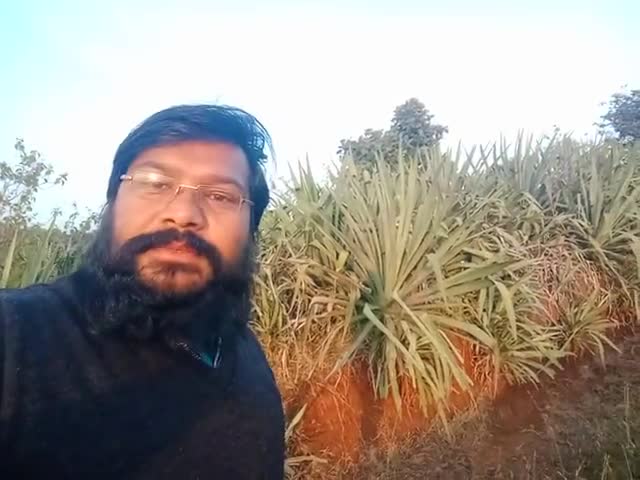 जीवंत ज्ञान:एक पौधा कैसे जीवन रूपांतरण कर सकता है, यहाँ जानें।
#आंतरिकक्रांति