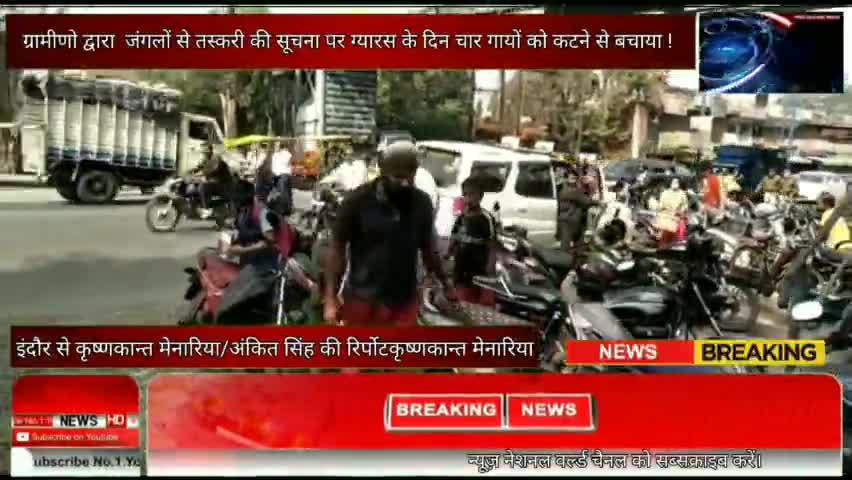 इंदौर: #इन्दौर ग्रामीणो द्वारा जंगलों से तस्करी की सूचना पर ग्यारस के दिन चार गायों को बचाया !