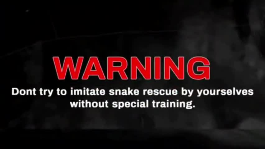 बस्तर: घर के आंगन में दिखा जहरीला नाग सांप🐍😱
#बस्तर #जगदलपुर #दरभा #deeptibajpai2099 #bastar1783 #bakawand #सांप #नाग
