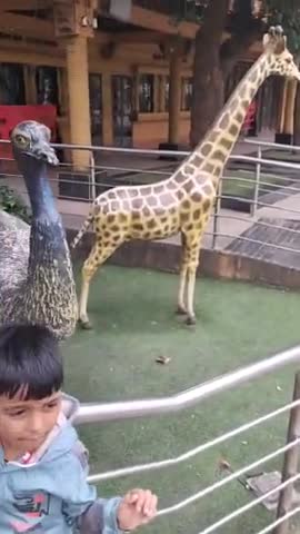 #naturelover Dharti ki kuchh jani pahchani jeev jantuo ki video clip