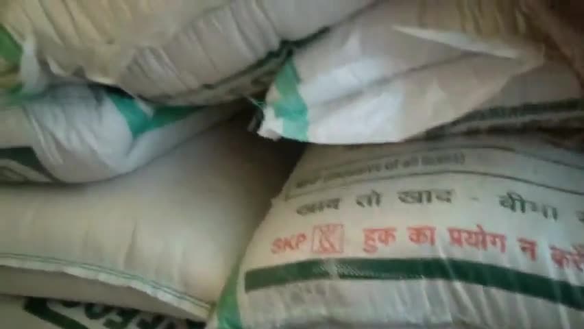 नटेरन: नटेरन में किसानों को नहीं मिल पा रहा समय पर यूरिया खाद लगा रहे हैं सोसाइटी के #चक्कर