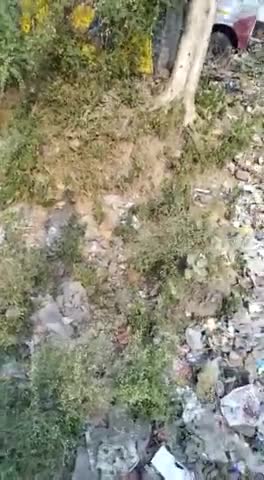 गाडरवारा में नए बस स्टैंड के पास से खप्पड़ वाले हनुमान मंदिर होते हुए लड़ैया नाला दुर्दशा का शिकार
#गाडरवारा नगर पालिका