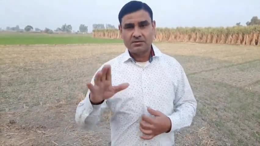 #हरियाणा के #स्नेक मैन सतीश ने बताया जिले के आस पास कितने #स्नेक कैंचर है आपके नजदीक कौन है