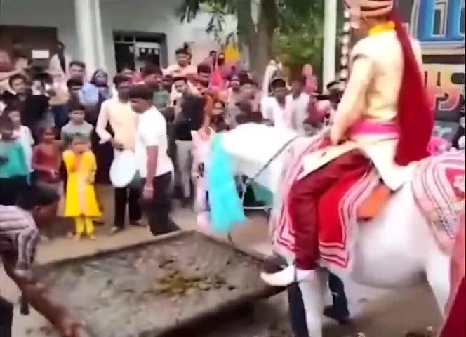 पटाखे की आवाज से घोड़ा ,दूल्हा को लेकर भाग गया...!
#weddings
follow👆👆👆👆👆👆👆