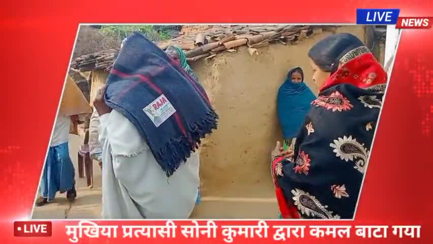 चैनपुर: झारिवा पंचायत ग्राम झरीवा में कमल बाटा गया #चैनपुर #पलामू #शाहपुर #बंदूवा #झारिवा #हरभोंगा#