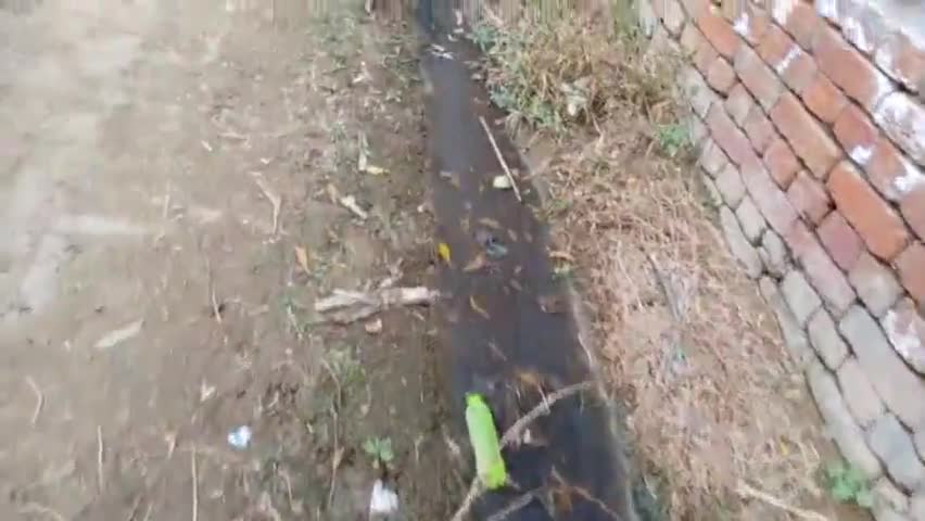 स्वच्छ भारत मिशन की उड़ रही धज्जियां पूरे मलंगा में नालिया ना होने से डेंगू मलेरिया का बढ़ सकता है खतरा#अभय सिंह