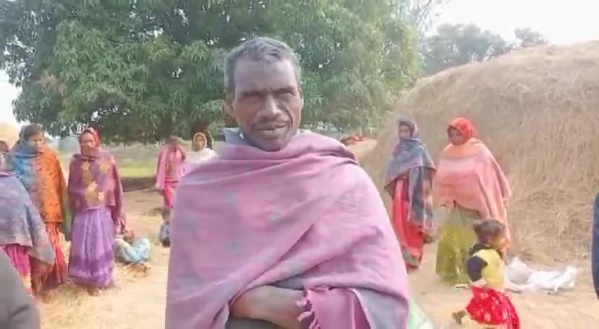 गढ़वा: सदर प्रखंड के किता सोती गांव पहुंचा जंगली हाथियों का झुंड, ग्रामीणों में दहशत #हाथी