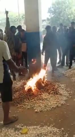 मनासा: मंदसौर मंडी मे लेसुन कम भाव बिकने पर किसान ने लगाई ढेर मे आग
#kisano #kisan #farmers