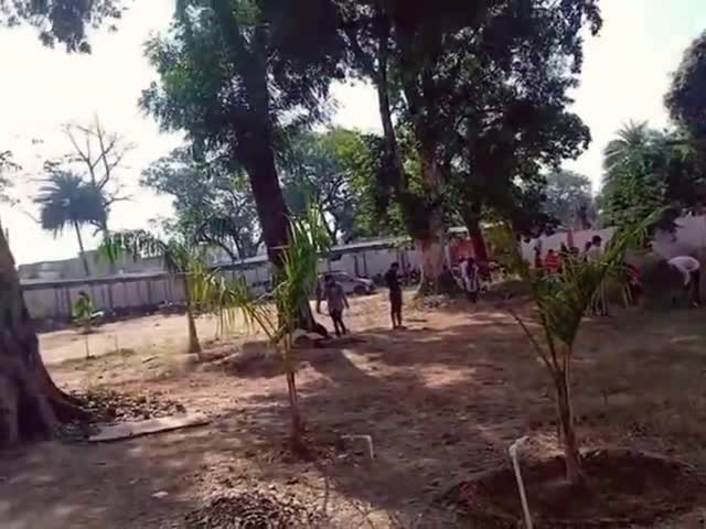 आज नौगांव के बापू डिग्री महाविद्यालय में छात्र-छात्राओं ने घास काट कर और झाड़ू लगा
कर स्वच्छता अभियान मनाया 
#bapu