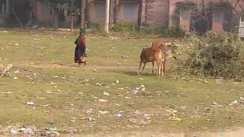 #सोनाली एल स्कूल के नाम से जो कि बुबना फील्ड के नाम से जाने जाते हैं माफियाओं ने उस फिल्ड को अपने कब्जे में रख रहे हैं
