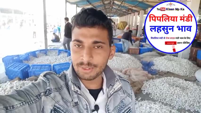पिपलिया मंडी से लहसुन का भाव 21 दिसंबर 2021 आज कितनी तेजी या मंदी 🤔#news #kisan #garlic #kisanmpka