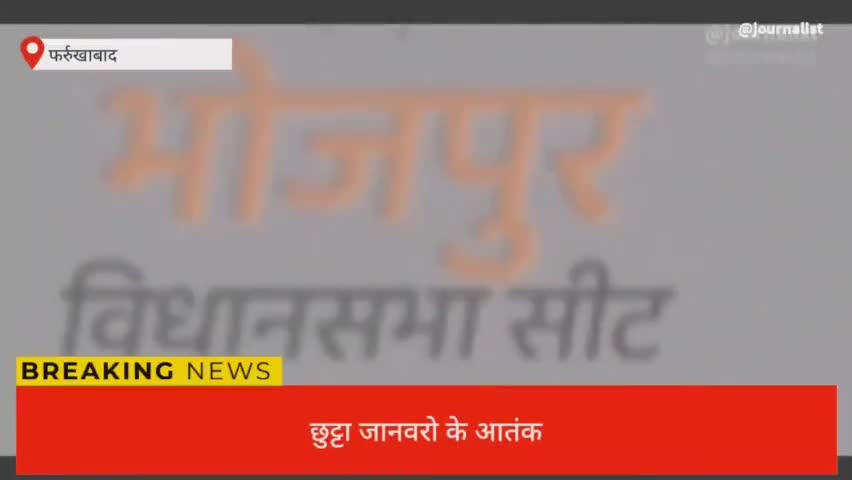#बेबस किसान कमालगंज क्षेत्र