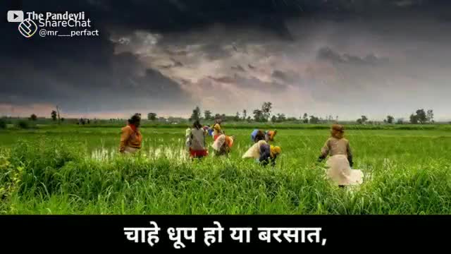 #किसान_दिवस #rsk
किसान दिवस हर साल 23 दिसंबर को देश के पूर्व प्रधानमंत्री चौधरी चरण सिंह जन्मदिन पर मनाया जाता है।