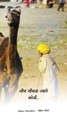 #बुजुर्गों की सीख 
साखी जो बुजुर्गों ने बनायी व संसारी जीवन की सच्चाई