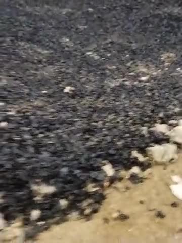 भोरे: sishai , mathauli  bhore me bas naam ka road banaya gya hai 
#bharat18news 
#corruption