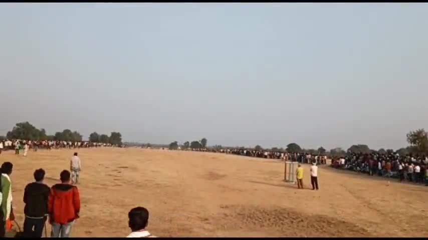 बालाघाट: जय मां चिंदराई देवी पट प्रतियोगिता की सिरमौर बनी "नील-निवारी" खैरी की बैलजोड़ी #बैलजोड़ी #प्रतियोगिता