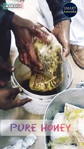 honey शुद्ध शहद कैसे निकालते हैं देसी जुगाड़ #honey #deshi #pure #smartamroha
https://youtube.com/c/Smartamroha