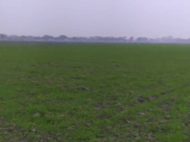 रवि फसल सरफरा दियारा क्षेत्र #बरौली , Gopalganj