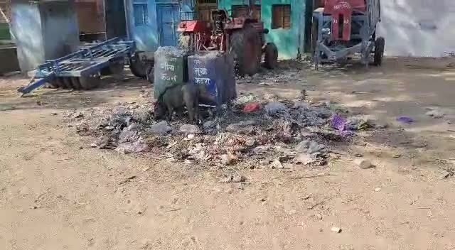 बिजावर: बिजावर के गुलगंज में स्वच्छता के नाम पर की जा रही अनदेखी #swachhbharatabhiyan