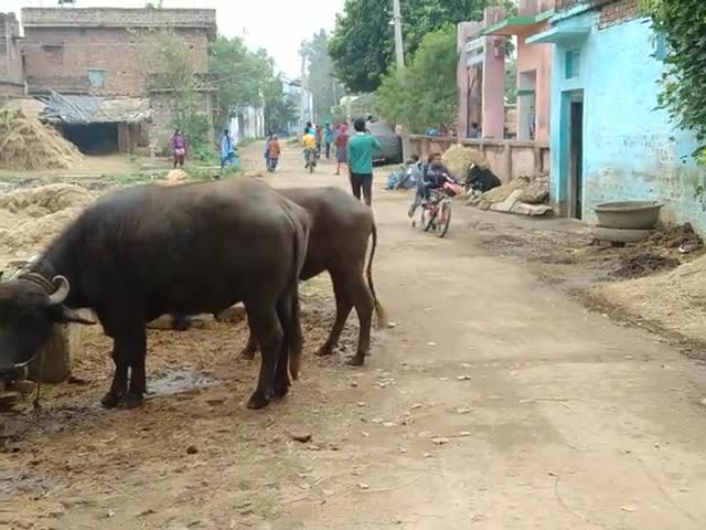 बिक्रम: सरकारी स्कूल बेरी बिक्रम बिहार
शिक्षा के साथ अनुशान भी समाप्त#राजनीति #शिक्षा #bpdmnews #bpdmnews#राजनीति