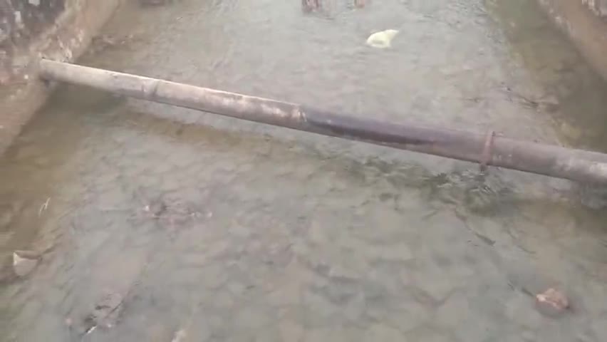 नहर मे एक बार फिर से पानी आ चुका है 
#बावनमाताकीझोपडीयां