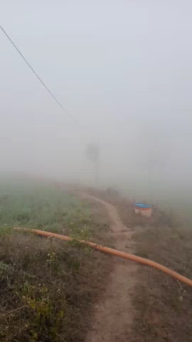 कोलारस: kolaras me kohora ☄️🌬️🌬️#newsbyrakeshyada #newsnation_team #newsxofficial #news.hindustan24x7 #newsnow18