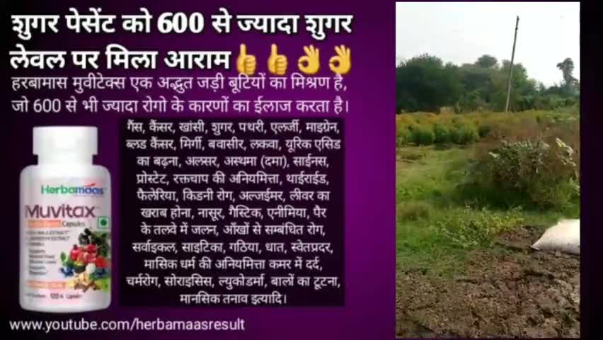 600 से भी ज्यादा शुगर लेवल पर मात्र 2 महीने में जिंदगी भर का मिला आराम👍👍👌👌
#sugar #news24official #newslifeindia