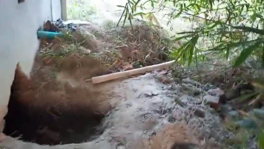 #कदवा :कदवा प्रखंड के भोगांव पंचायत के कांता में चोरों ने सुनील पोद्दार के खेत से मोटर चुरा कर फरार हो गए