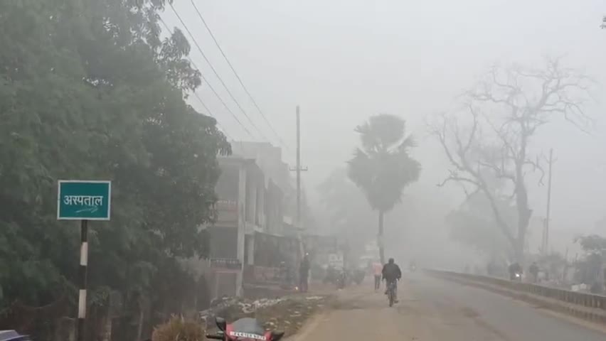 कोईलवर: कोइलवर में सुबह से ही छाया रहा कोहरा, आम जनजीवन प्रभावित।
#koilwar #koilwarnews