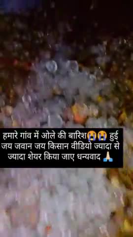 जिला गुना मध्य प्रदेश तहसील आरोन ग्राम पहारूआ मैं हुई ओले की बारिश फसल हो चुकी नष्ट ,😱😭😭😭#sivrasingchohan