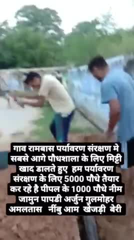 गांव रामबास में पर्यावरण संरक्षण की मुहिम में नर्सरी तैयार करते हुए लगभग 10000 पौधे तैयार है #पौधारोपण
#kanina
#कनीना