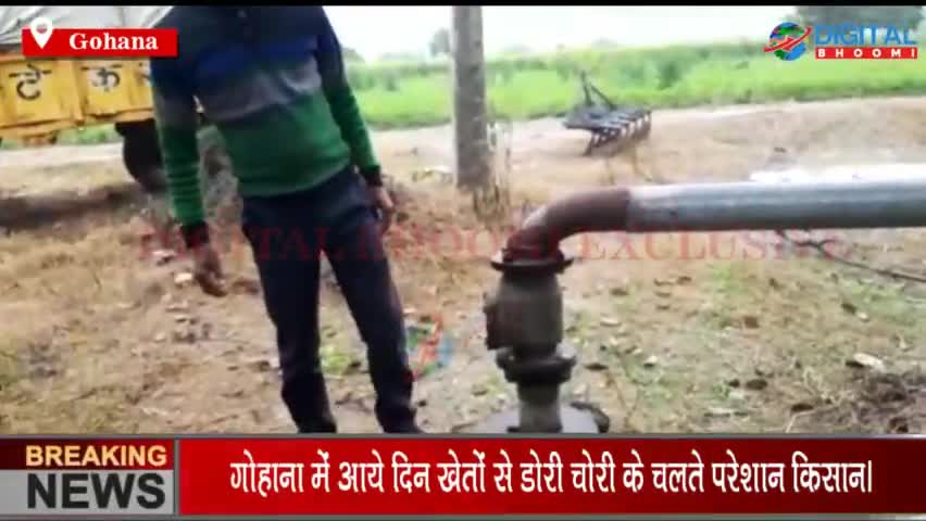 गोहाना में आये दिन खेतों से डोरी चोरी के चलते परेशान किसान।
#GohanaNews #SonipatNews #HaryanaNews #BreakingNews