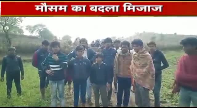 #बड़ी_खबर शिवपुरी जिले में हुई ओलावृष्टि, किसानों की फसल हुई नष्ट,प्रदेश अध्यक्ष ने उठाई आवाज।