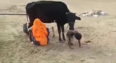 ऐसा कार्य सिर्फ़ भारत मे ही सम्भव है।
#संस्कार #भारत #ज्योतिप्रकाश