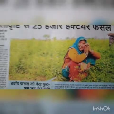 ओला वृष्टि से किसान परेशान
#kisano  #covid