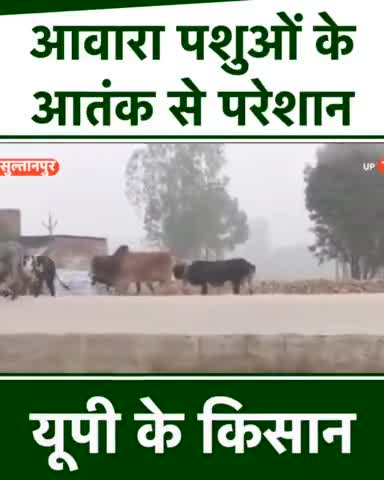 #नहीं_चाहिए_बुल_बाबा_बुलडोजर 
#योगी_नहीं_योग्य_चाहिए 
#नहीं_चाहिए_भाजपा
