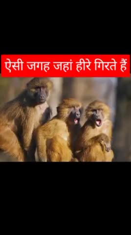 #crime #cricket #viral #amzing #music #jabalpur #zeenews #zee #police #