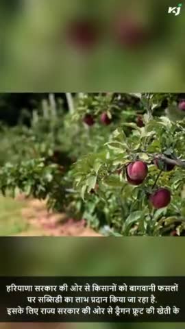 देश में बागवानी को मिलेगा बढ़ावा, पांए 35% तक का अनुदान

#governmentschemes #agrischemes #garden