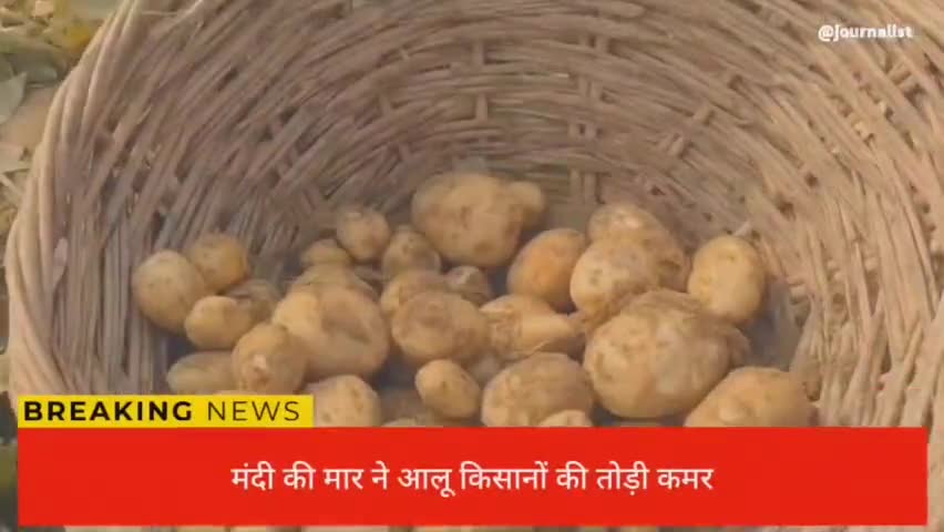 #कमालगंज उचित रेट न मिलने से मंदी की भेंट चढ़े आलू के रेट