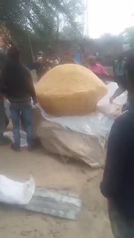 मधेपुरा: तुनियाही गांव में #100kg का एक ही लाए बनाया गया ... अनोखे तरीके से #मकर #संक्रांति मनाया गया जो की
चर्चा लायक विषय है