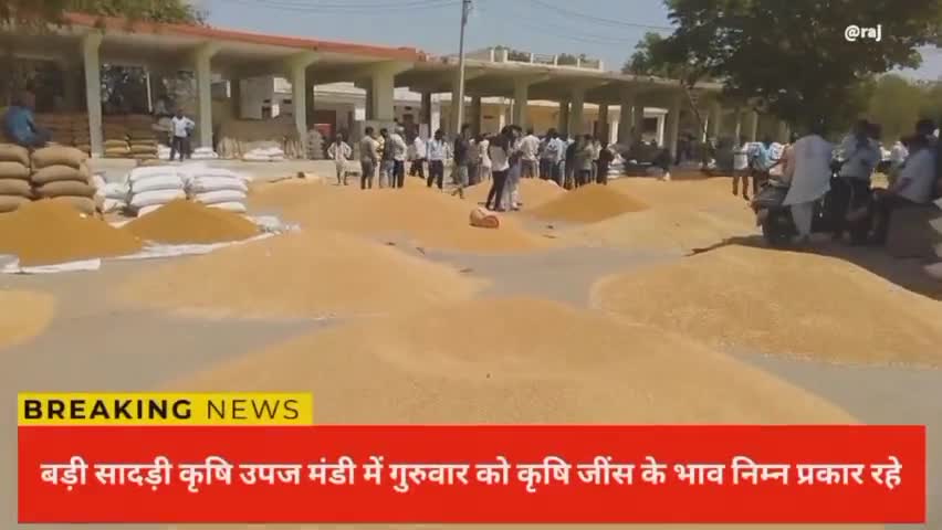 बड़ी सादड़ी: कृषि उपज मंडी बड़ी सादड़ी में कृषि जिंसों के भाव निम्न प्रकार रहे #कृषि_मंडी
