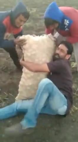 kisanon Itni mehnat karte hain aur Aalu ke Dam kitne rupaye kilo bahut nainsafi hai Sarkar Ke is Faisla per#viralvide