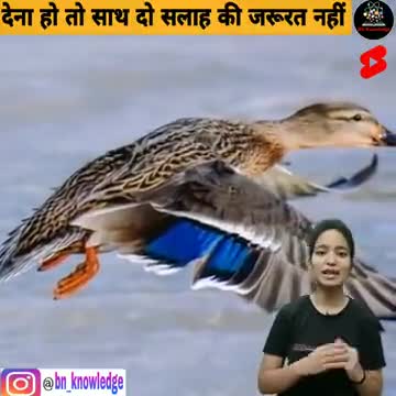 #ज्ञानवर्धक बातें।
पूरा सुनिये और इसको चरितार्थ करने का प्रयास करिये।