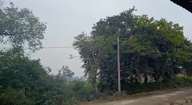उत्तर प्रदेश के कई शहराें में 2 दिन बारिश और ओलावृष्टि के आसार, माैसम विभाग ने किसानाें काे किया अलर्ट
#weatheralert